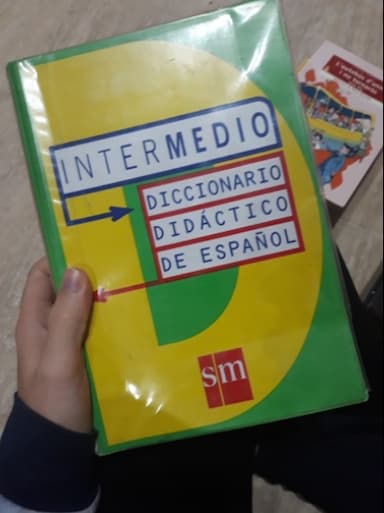 Diccionario didáctico de español : intermedio