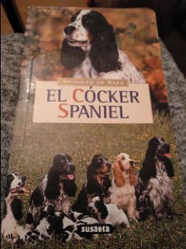 El Cocker Spaniel