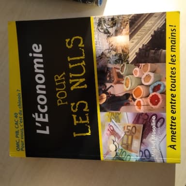 Léconomie pour les nuls