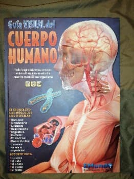 Guia Visual del cuerpo humano 