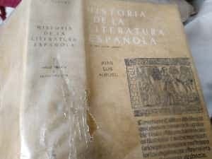 Historia de La Literatura Espanola I, Edad Media (Historia de la Literatura Espanola)