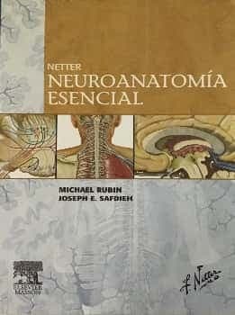 Netter. Neuroanatomía esencial