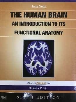 The human brain an introduction to its functional anatomy