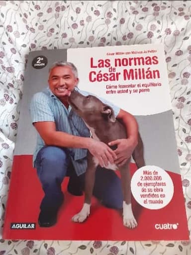 Las normas de César Millán