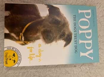 Poppy The Dogstrust Dog A Dog Is For Life