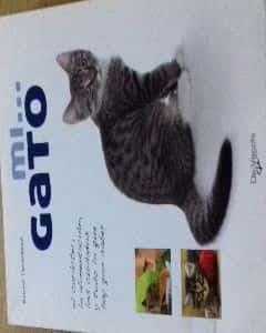 mi gato