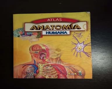 Atlas autonomía Humana