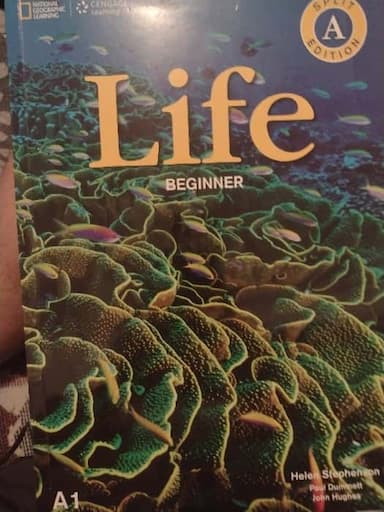 Life Beginner