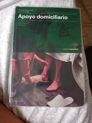 apoyo domiciliario