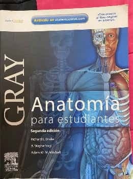 Gray anatomía para estudiantes - 2. ed.