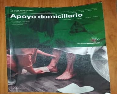 apoyo domiciliario