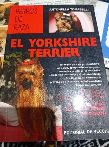 Yorkshire Terrier, El - Perros de Raza