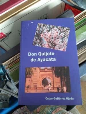 Don Quijote de ayacata