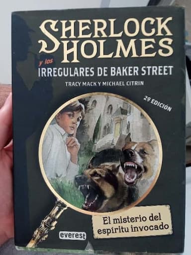 Sherlock Holmes y los irregulares de Baker Street