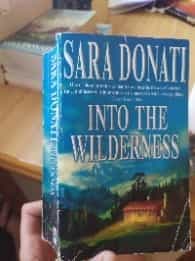 Into the Wilderness (Wilderness Saga 1)