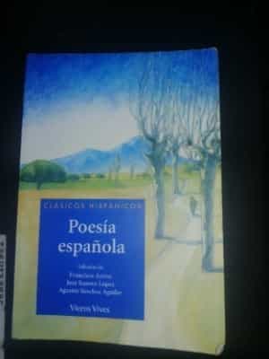 Poesía española