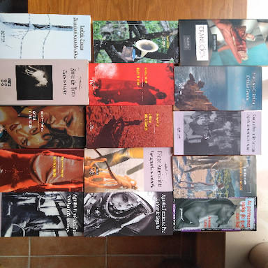 Lote de libros actuales en gallego