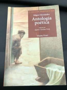 Antologia Poetica (Clasicos Hispanicos)