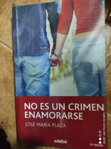 No es un crimen enamorarse