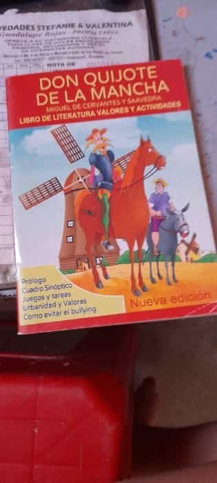 The history of Don Quixote de la Mancha