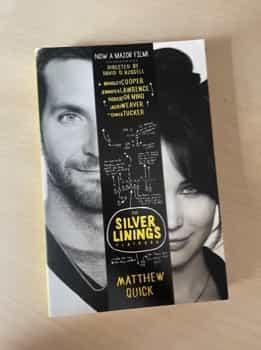 The silver linings playbook
