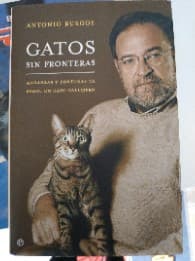 Gatos sin fronteras/ Cats without Borders