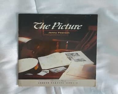 The Picture (Streamline Graded Readers, Level 2)