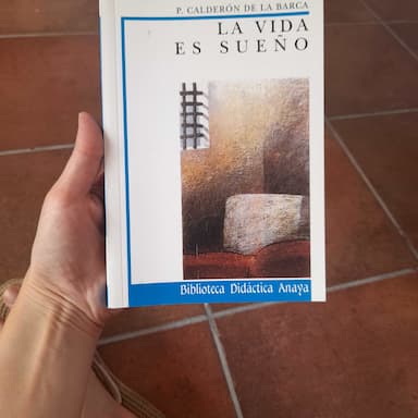 La Vida Es Sueño  Life is a Dream (Biblioteca Didactica Anaya)