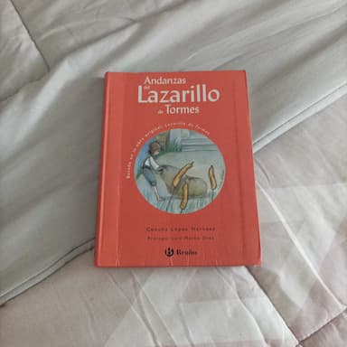 Andanzas Del Lazarillo De Tormesthe Adventures of Lazarillo of Tormes