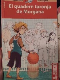 El quadern taronja de Morgana