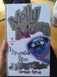Molly Moon i lincreïble llibre dhipnotisme
