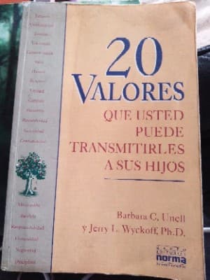 The 20 Valores Que Usted Puede Transmitirles