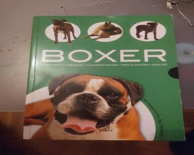 El Boxer