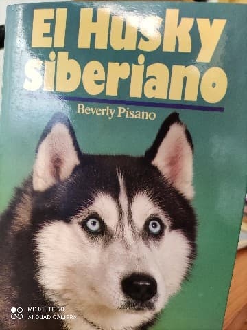 Husky Siberiano, El