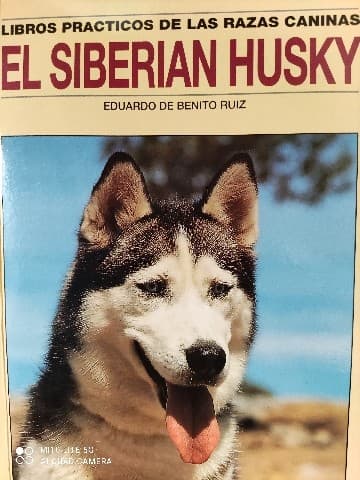 "El siberian husky"