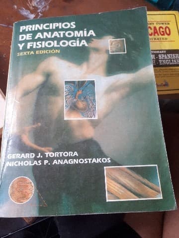Principios de anatomía y fisiología