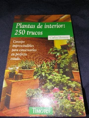 Plantas de interior: 250 trucos