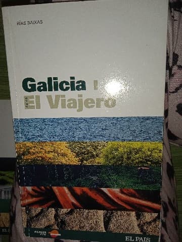 Galicia I. El viajero.