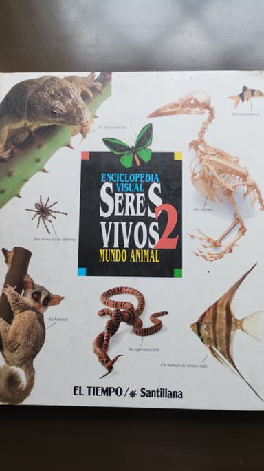 Enciclopedia visual