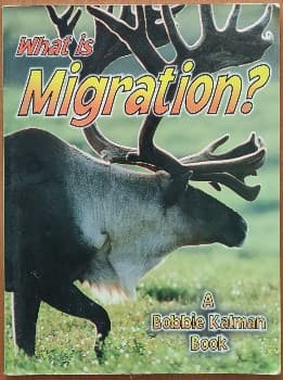 What is migration?