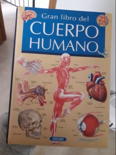 Gran libro de cuerpo humano