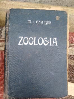zoología 